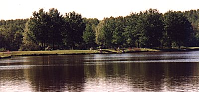  Uitzicht op Park Het Schollebos